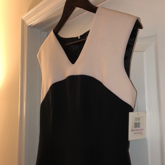 Brand New Never worn before Ellen Tracy Dress. - Picture 3 of 8